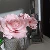 vioricascrob