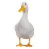 duckman2315