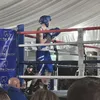 alfiecross25