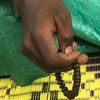 amadou_mk_traore