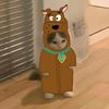 alanaspawner00