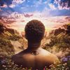 dshawn.wav