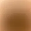 _sown20_