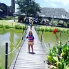 a_limasilva