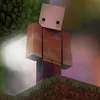 tuonghoa2k7