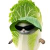 seefdfdggmail.com