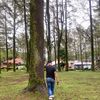 iqra_surbakti23
