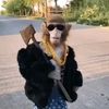 monkeynotguy