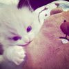 loveeematchaa3