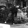 akmal.arrosyid