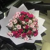bb__ara66