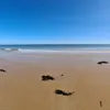 itsnotmeimafraid