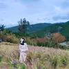 vynguyen.1208