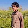 irfanmughal8566