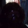 jefriromadhon5