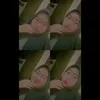 yanduuttt