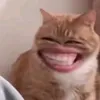 angkul_presest