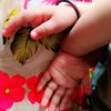maherbankhan645