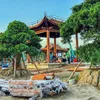 thanhnguyen57890