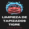 Limpiezadetapizadostigre