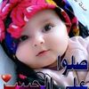 wahibwahb0