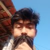 _napp248
