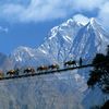 bijayshakya31