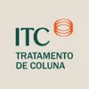 ITC Vertebral