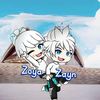 z_nal13
