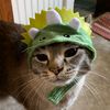dinocat_14