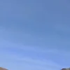 eddfffcsaa