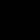 sc_vanss