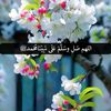 permay.suri6
