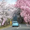 myxuyen2935
