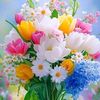 md.nuralam.27