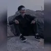 dq_313