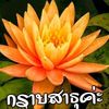 dyj127r70wnp