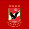 rehababdelrazek1