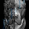 henrique_lima5829