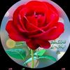hazrat.ullah.333