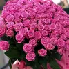 user1240920800269