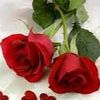 salmanahmadkhan605