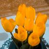 .om.ta.lal3