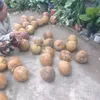 wwwhuynhcongdung