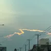 kutybo_292