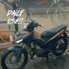 dandi.928