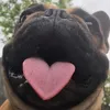nhatanhhaycuoi