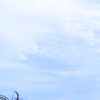 dpi_syaputra