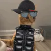 ibbekibbe2