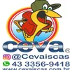 cevaiscas